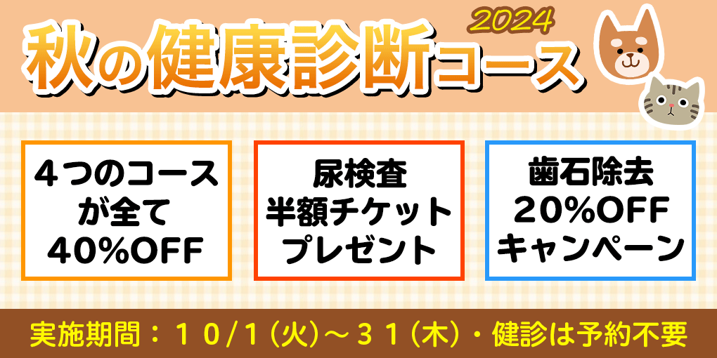 秋の健康診断キャンペーン