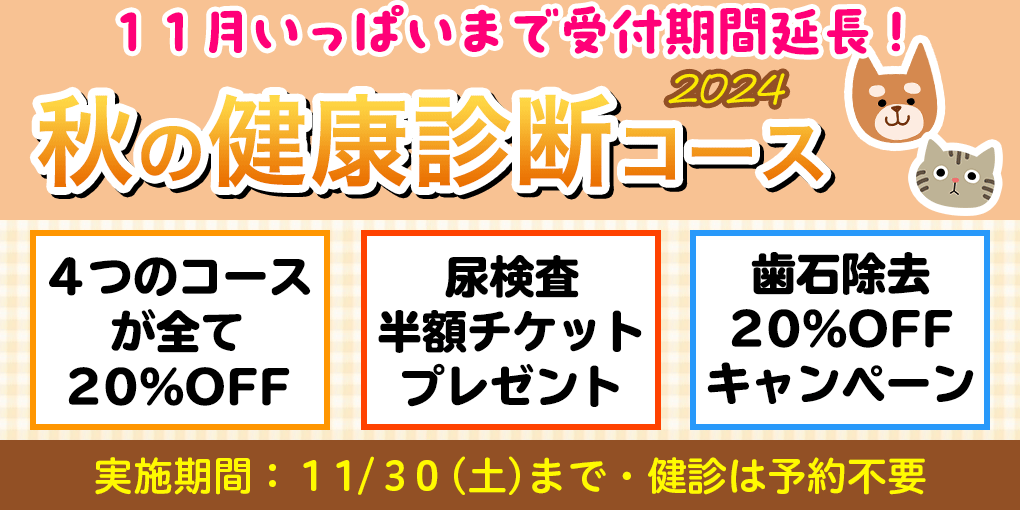 秋の健康診断キャンペーン